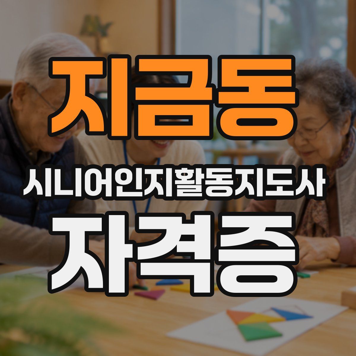 지금동 시니어인지활동지도사 자격증