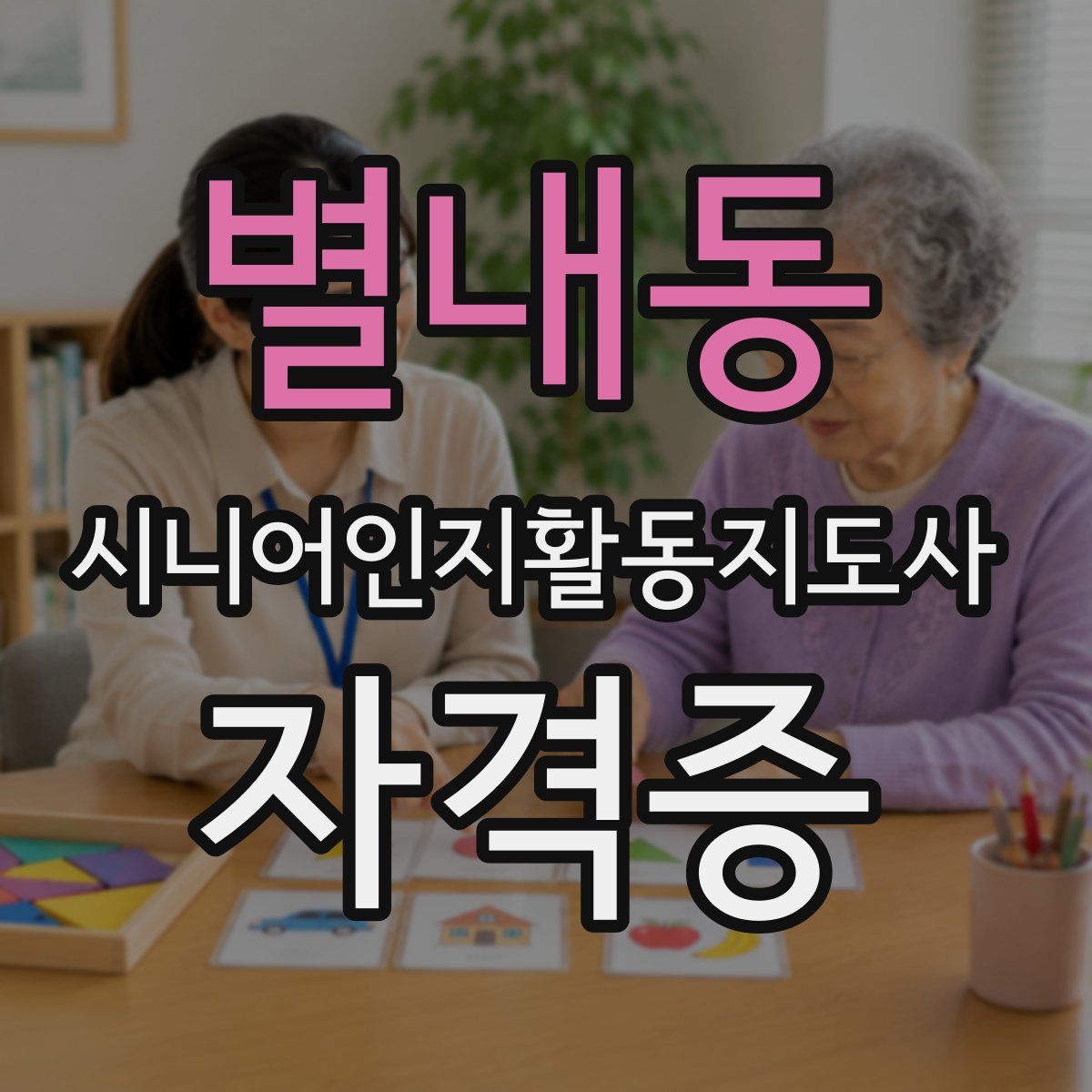 별내동 시니어인지활동지도사 자격증
