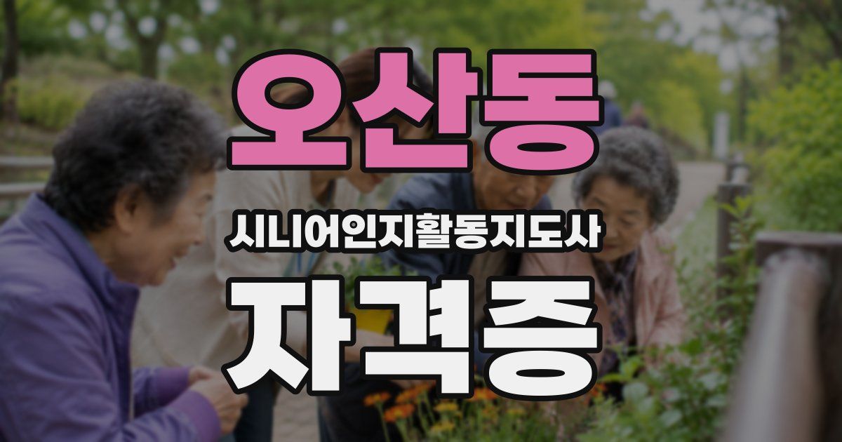 오산동 시니어인지활동지도사 자격증