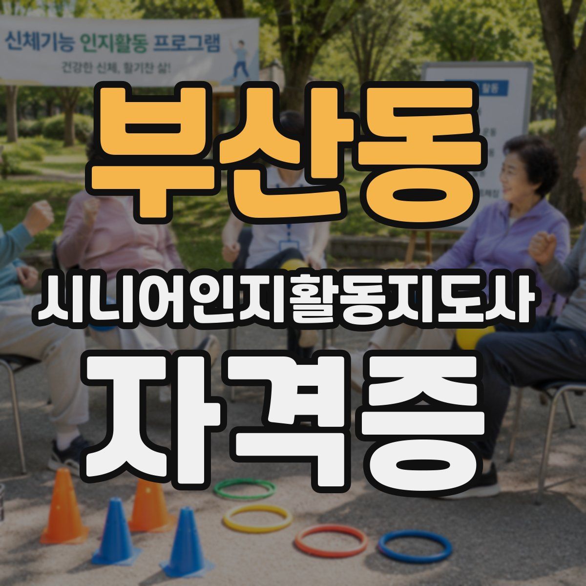 부산동 시니어인지활동지도사 자격증