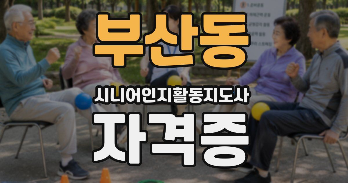 부산동 시니어인지활동지도사 자격증