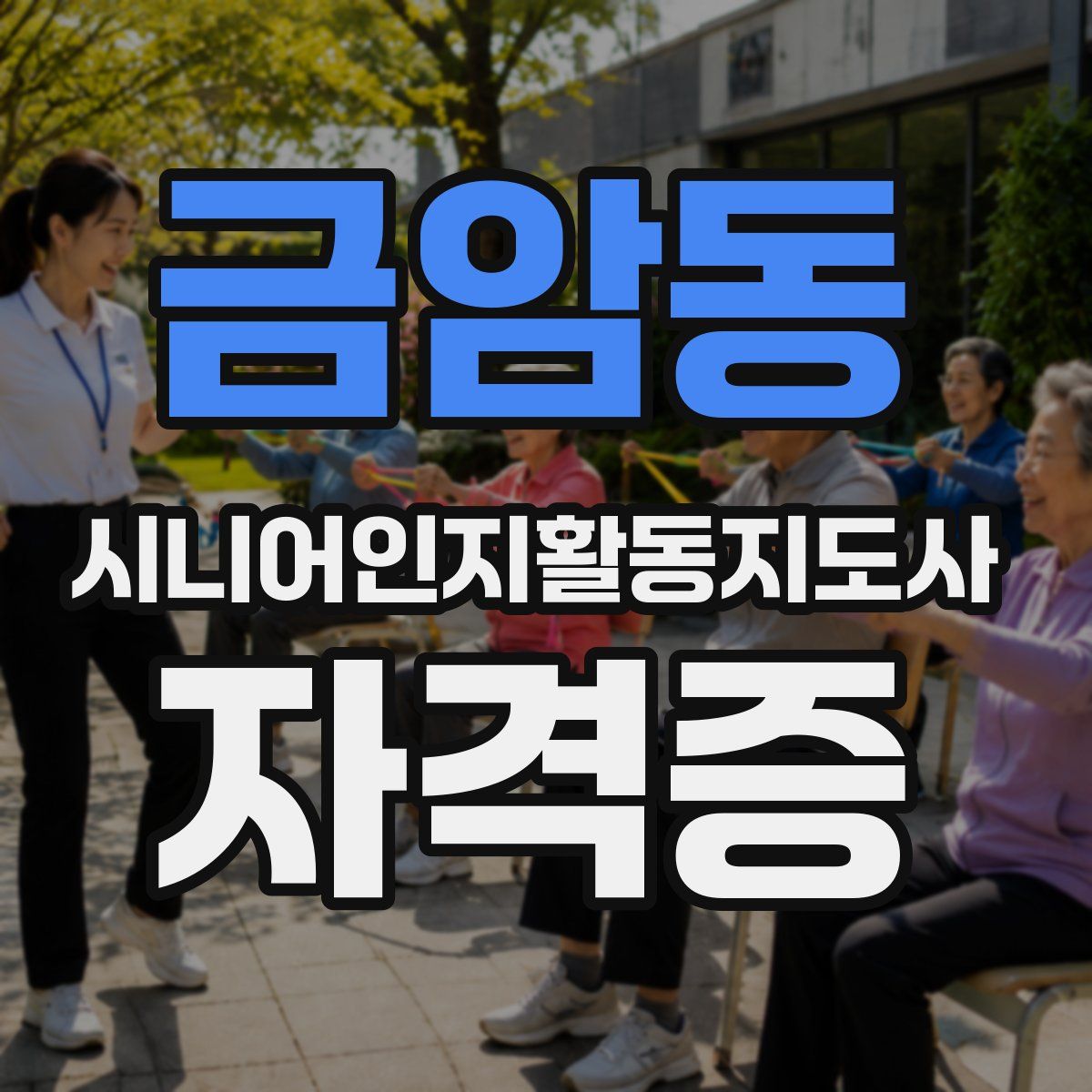 금암동 시니어인지활동지도사 자격증