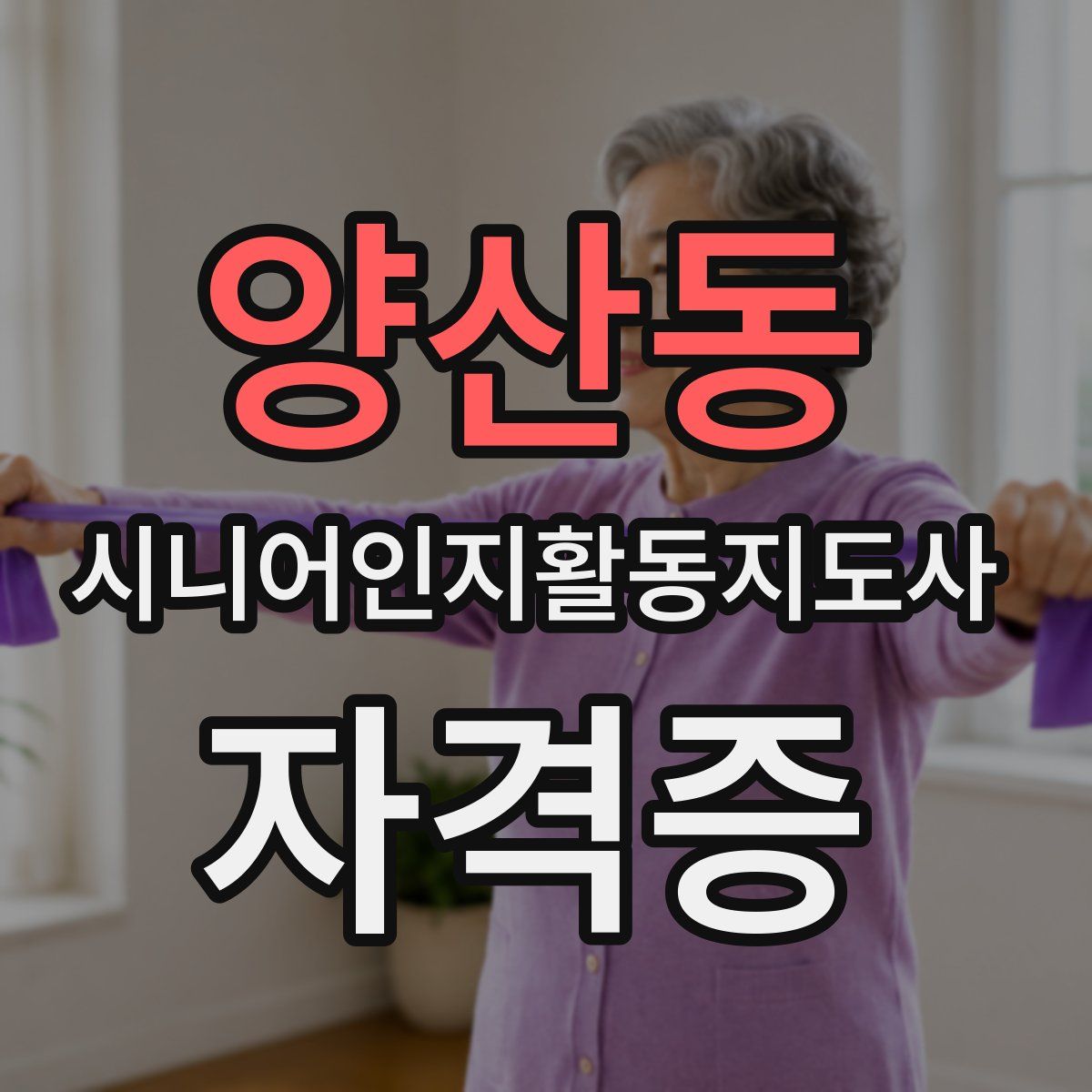 양산동 시니어인지활동지도사 자격증