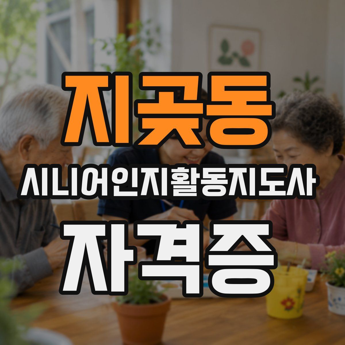 지곶동 시니어인지활동지도사 자격증
