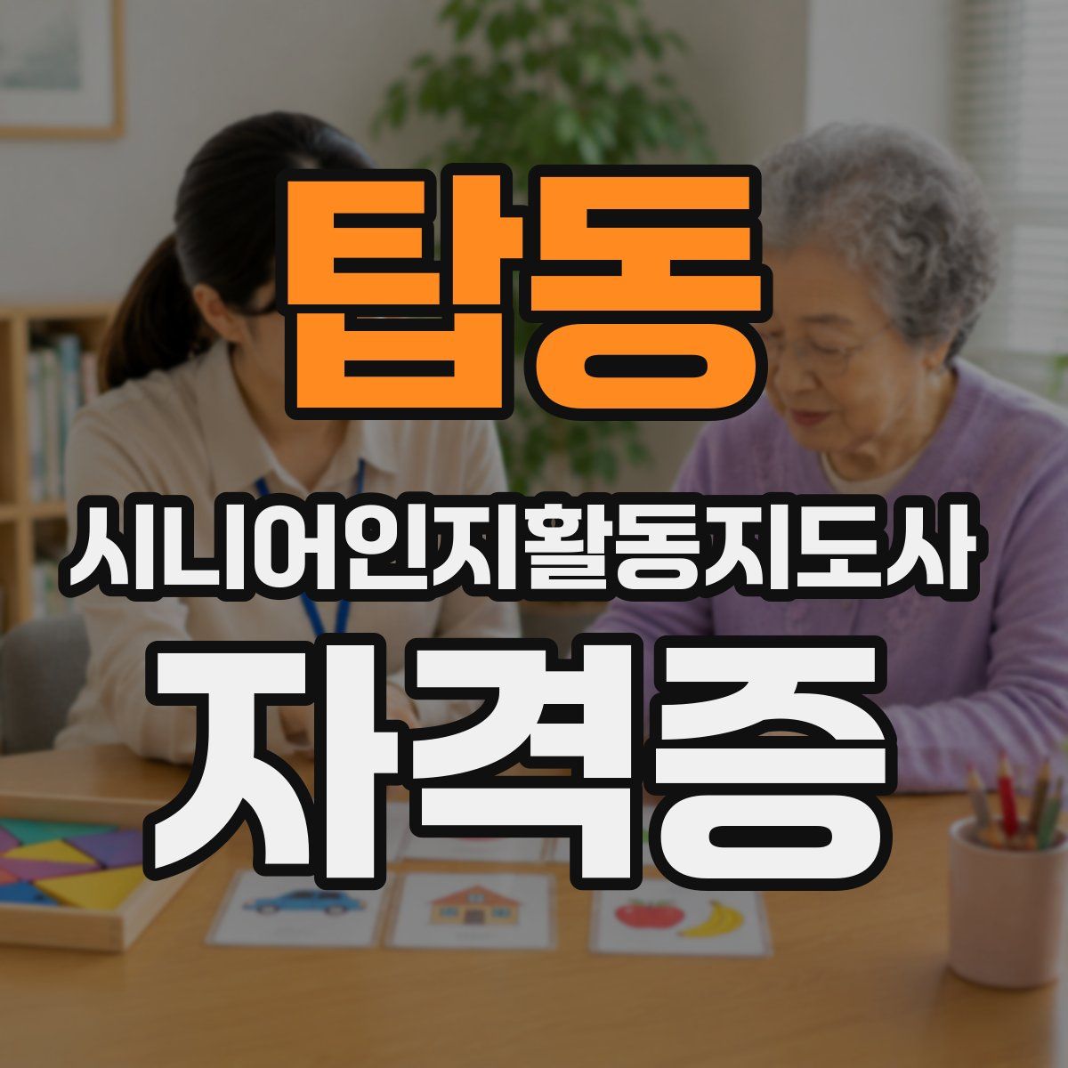 탑동 시니어인지활동지도사 자격증