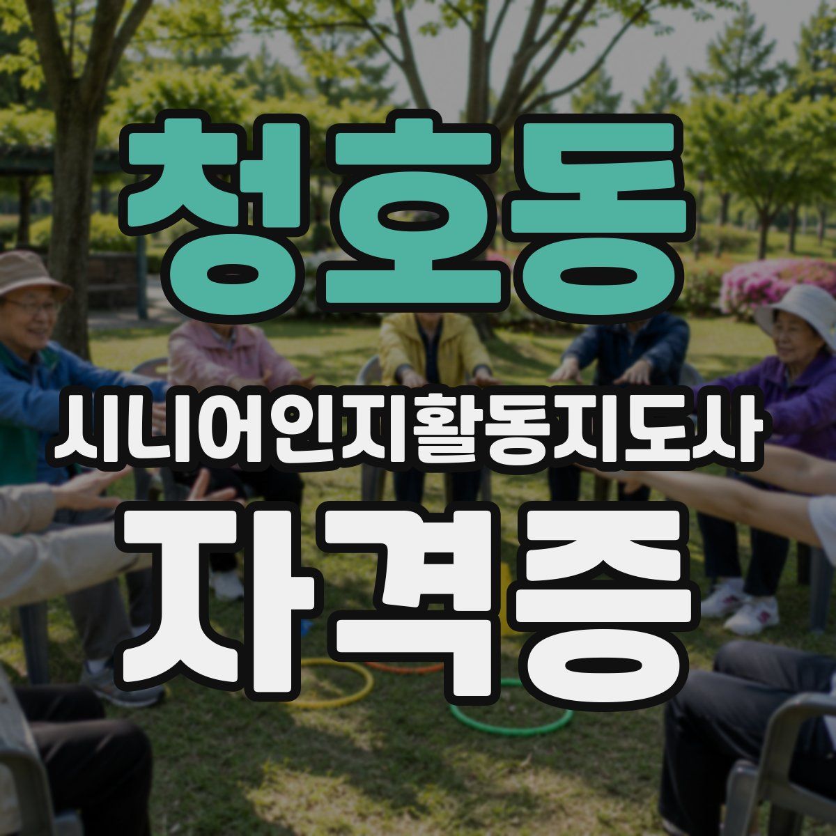 청호동 시니어인지활동지도사 자격증