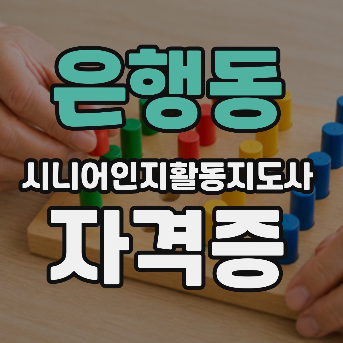 은행동 시니어인지활동지도사 자격증