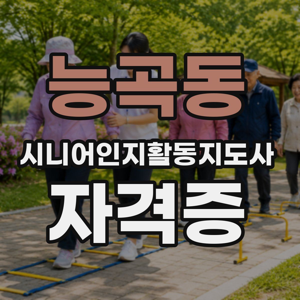 능곡동 시니어인지활동지도사 자격증