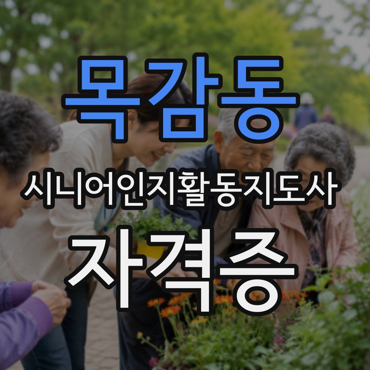 목감동 시니어인지활동지도사 자격증