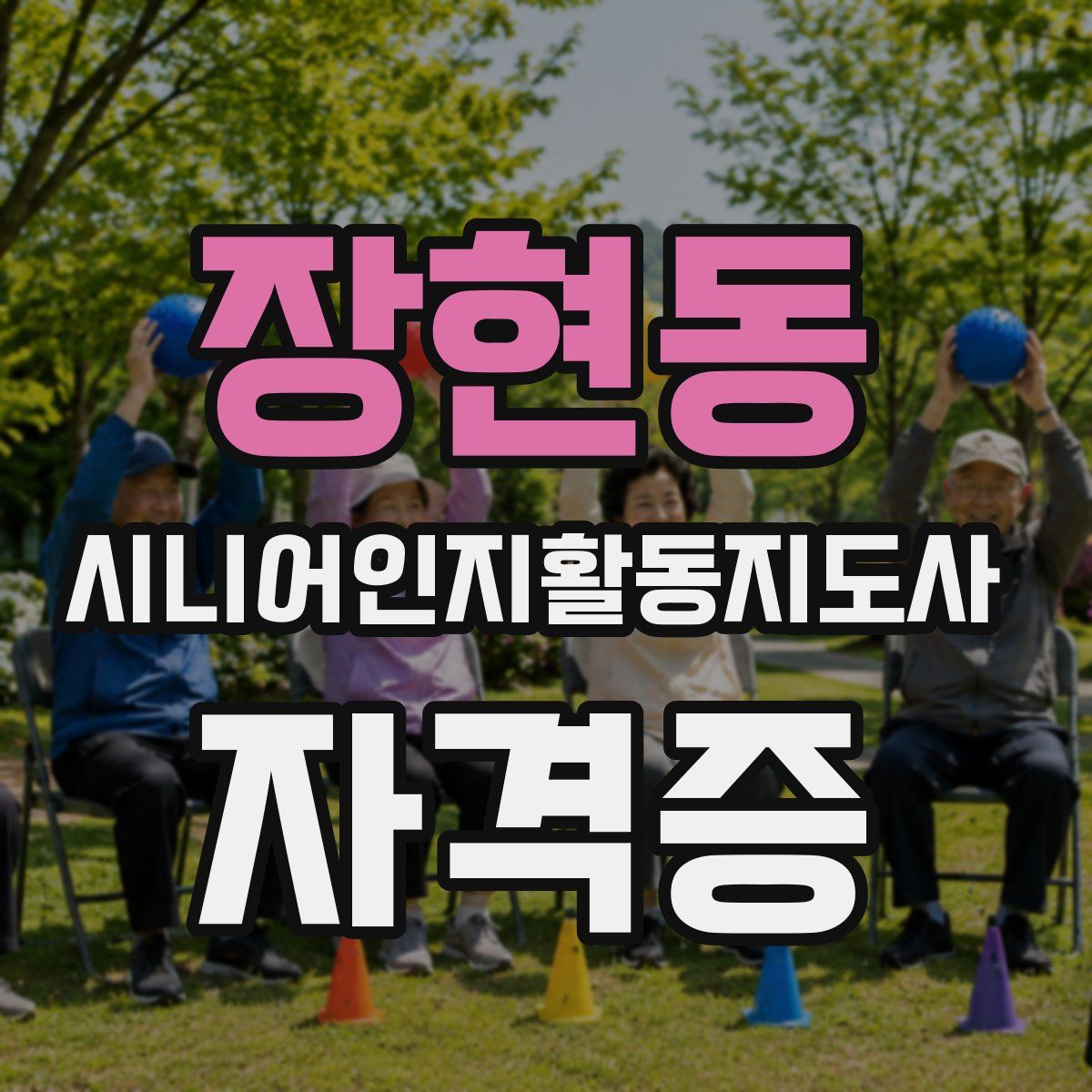 장현동 시니어인지활동지도사 자격증