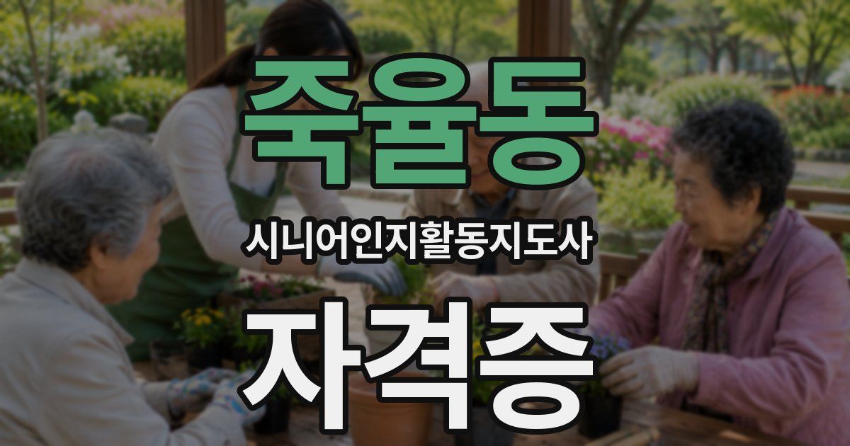죽율동 시니어인지활동지도사 자격증