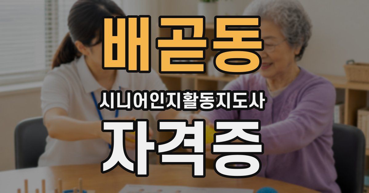 배곧동 시니어인지활동지도사 자격증