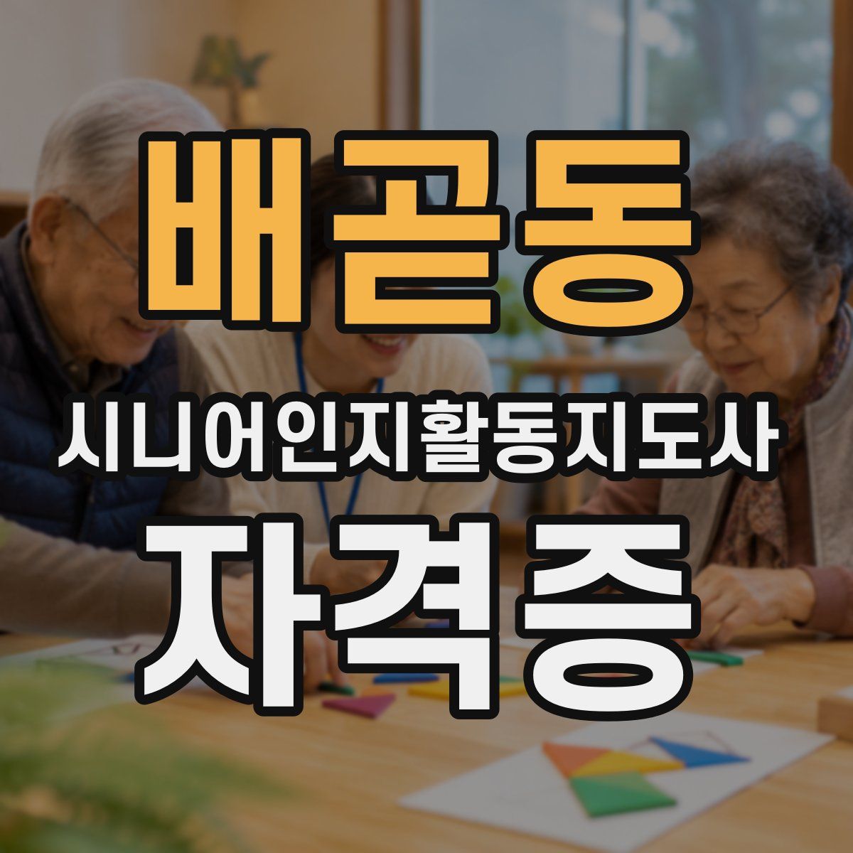 배곧동 시니어인지활동지도사 자격증