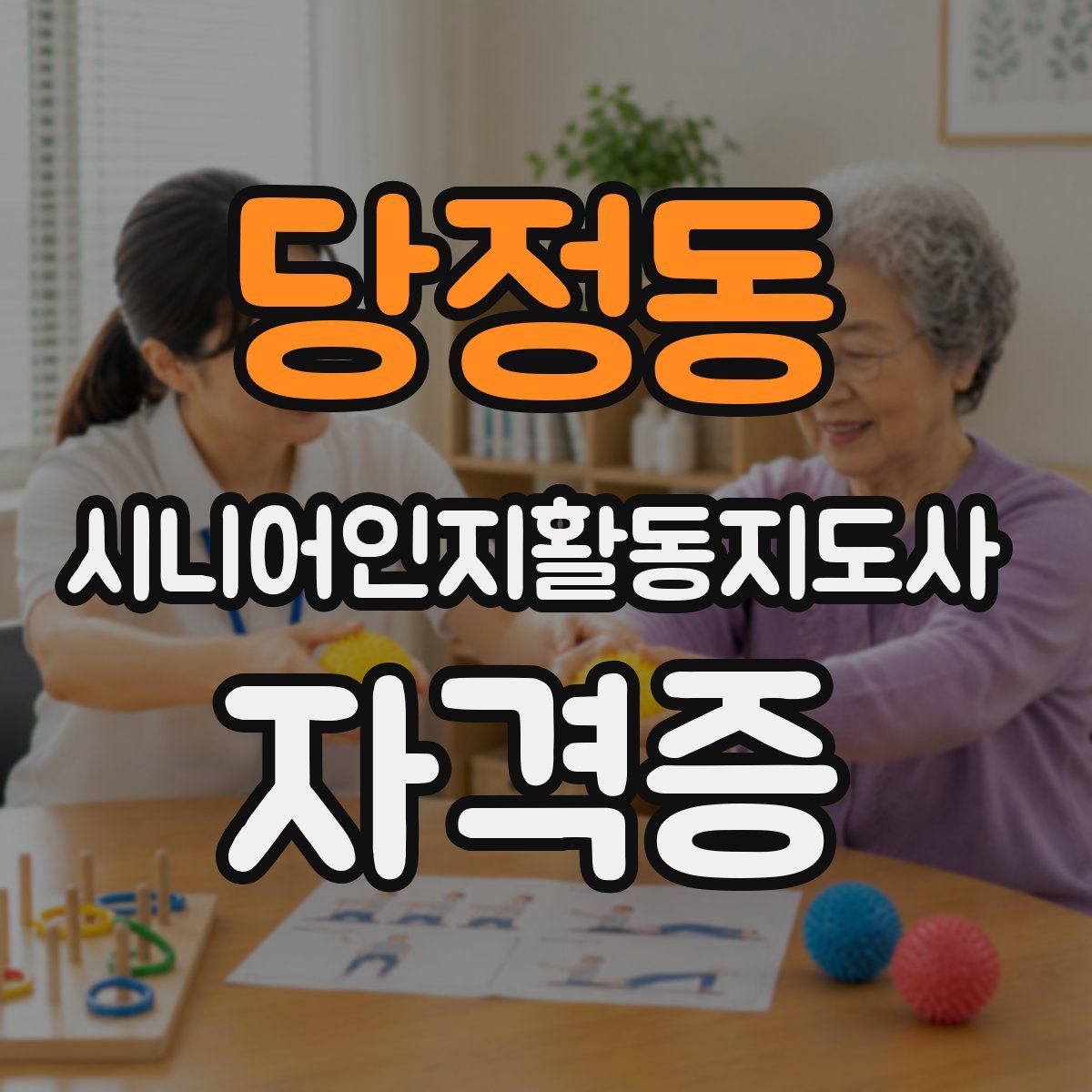 당정동 시니어인지활동지도사 자격증