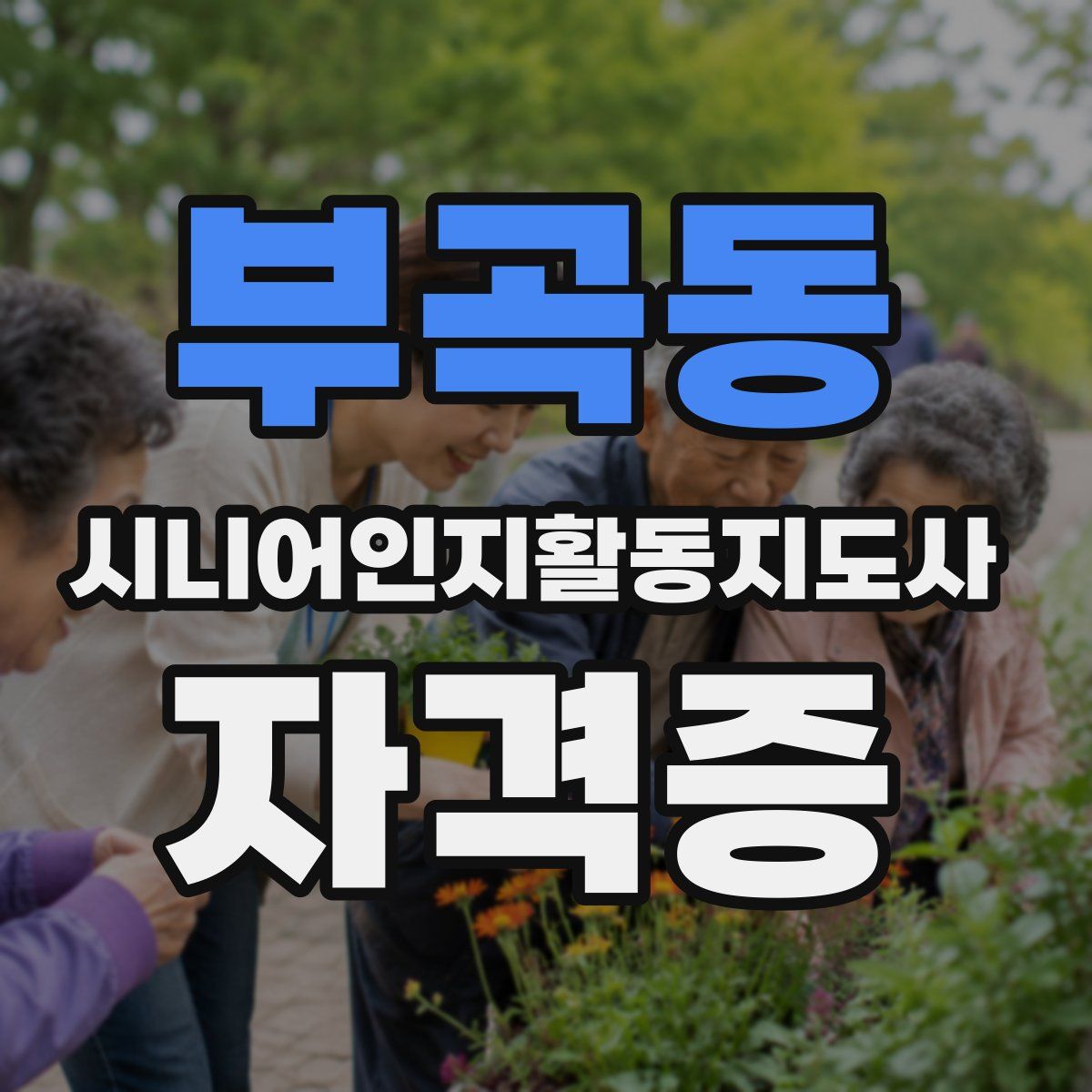 부곡동 시니어인지활동지도사 자격증