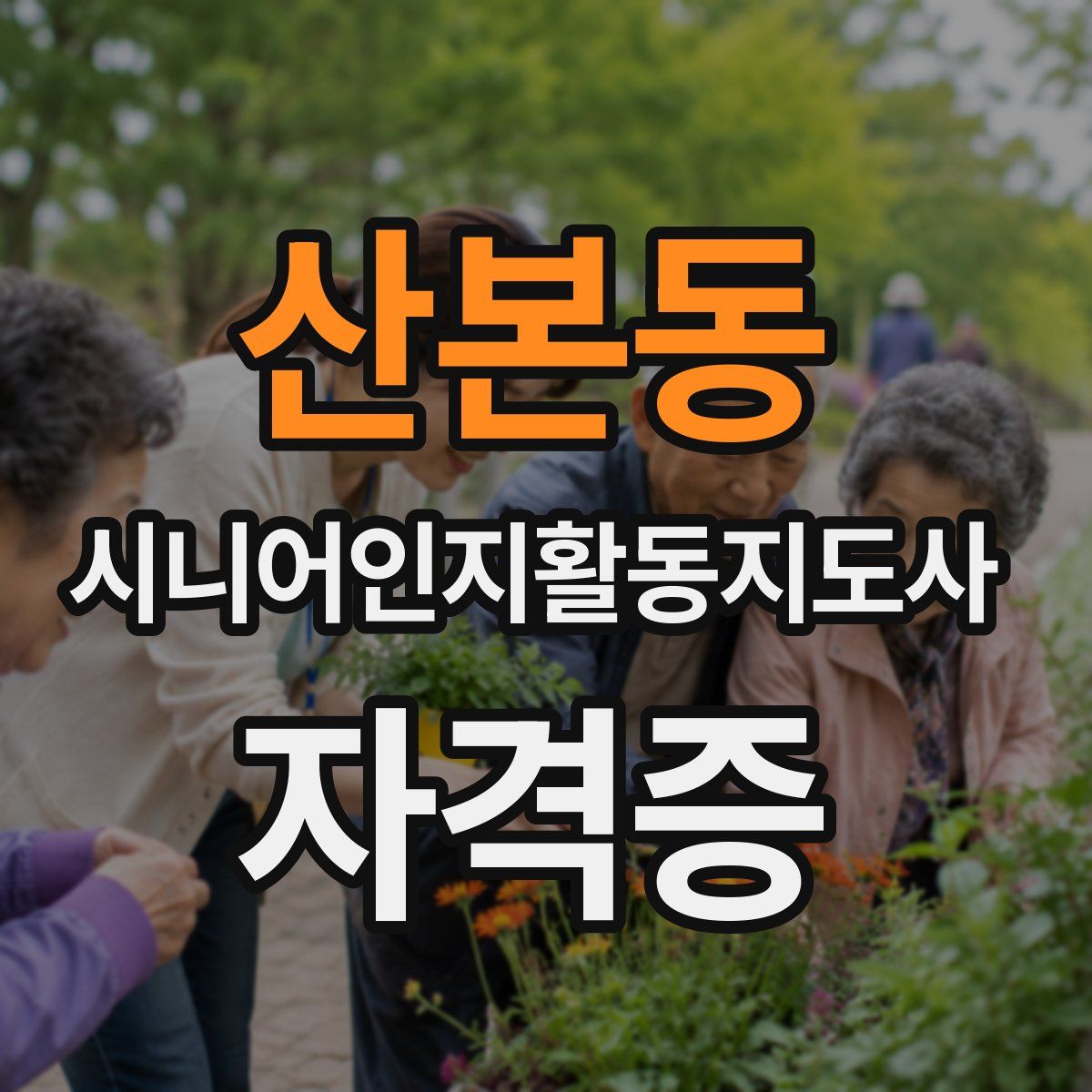 산본동 시니어인지활동지도사 자격증
