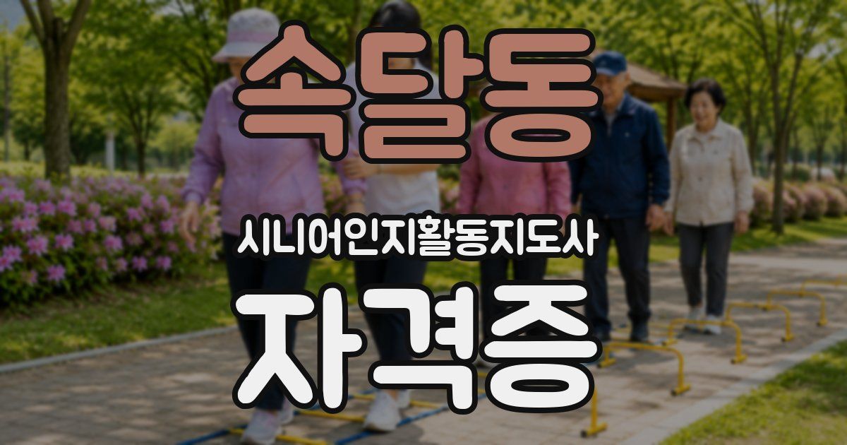 속달동 시니어인지활동지도사 자격증