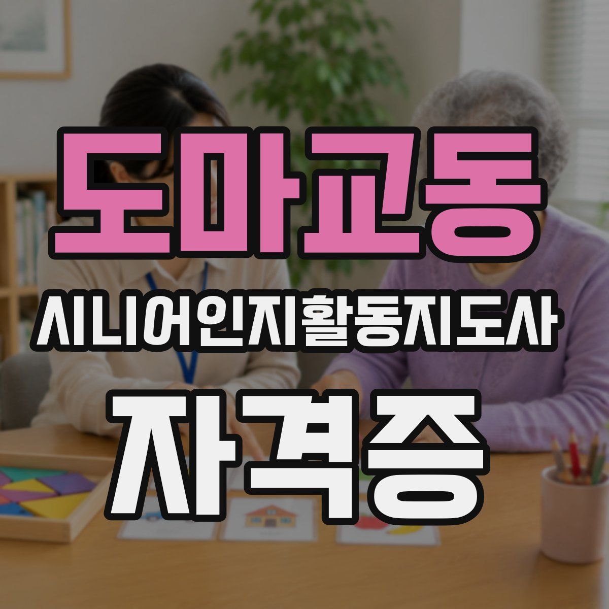 도마교동 시니어인지활동지도사 자격증