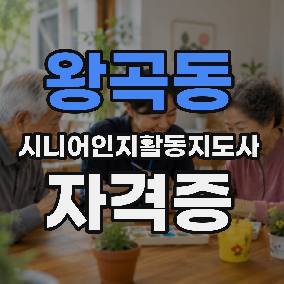 왕곡동 시니어인지활동지도사 자격증