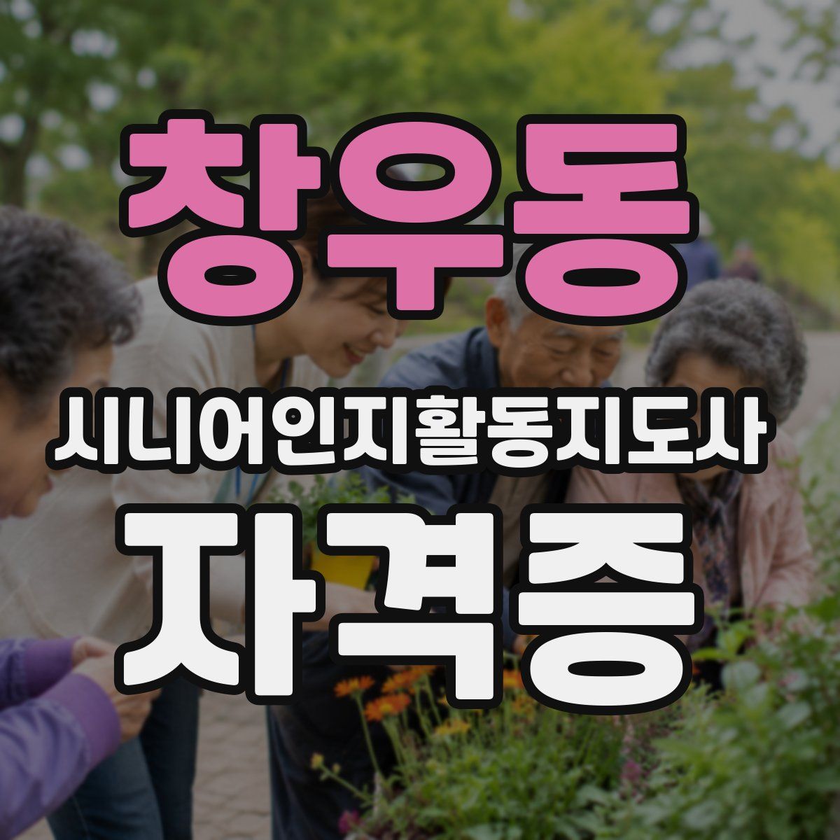 창우동 시니어인지활동지도사 자격증
