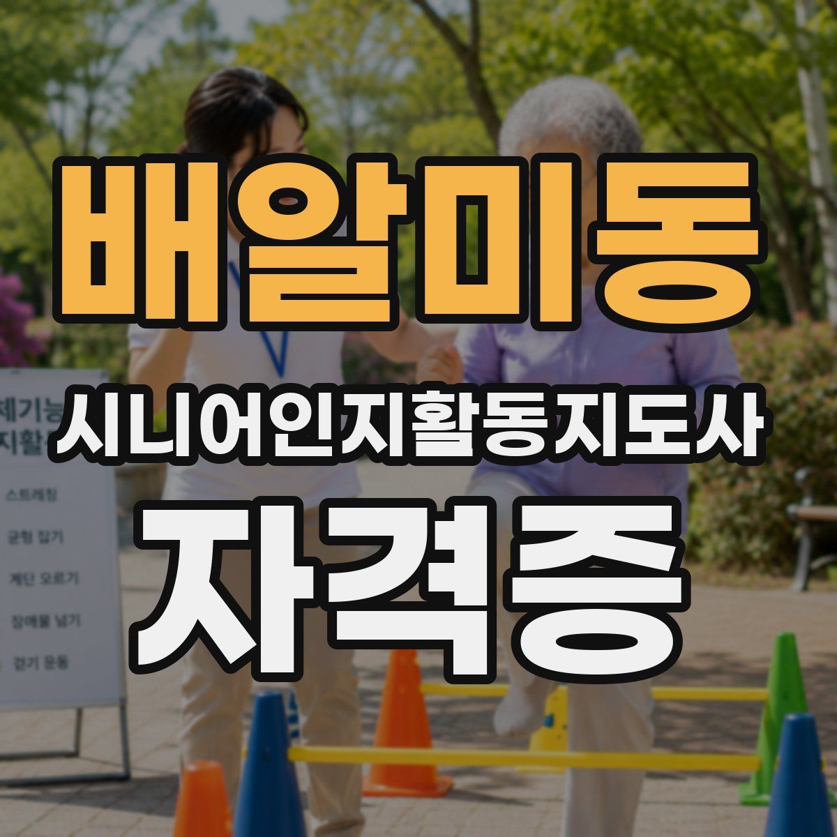 배알미동 시니어인지활동지도사 자격증