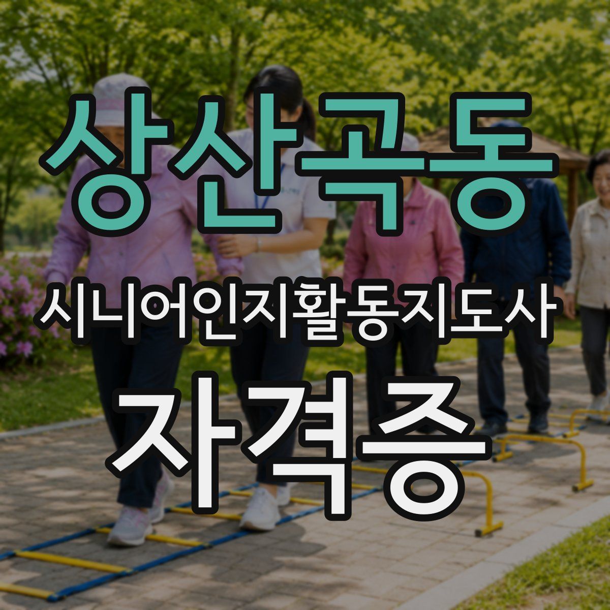 상산곡동 시니어인지활동지도사 자격증