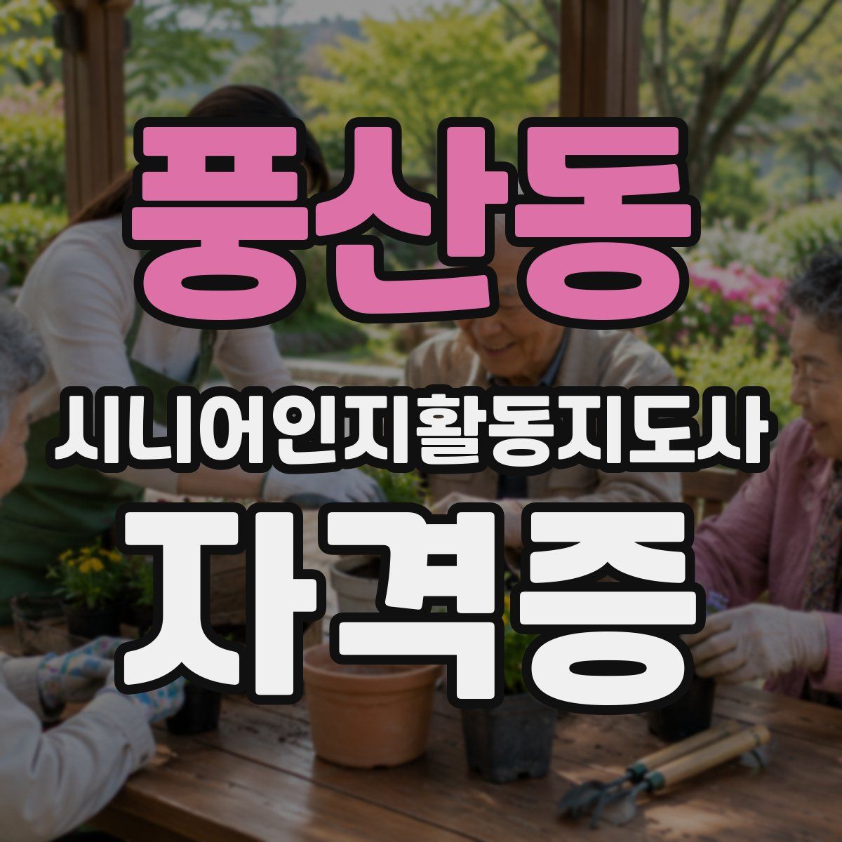 풍산동 시니어인지활동지도사 자격증