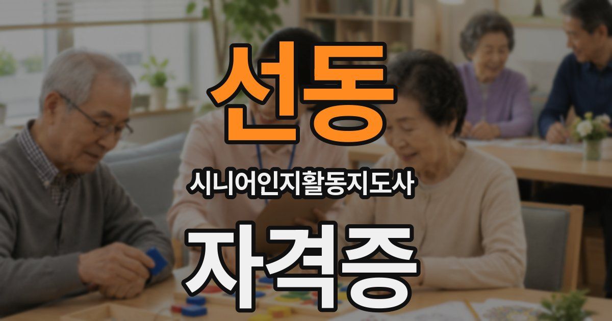 선동 시니어인지활동지도사 자격증