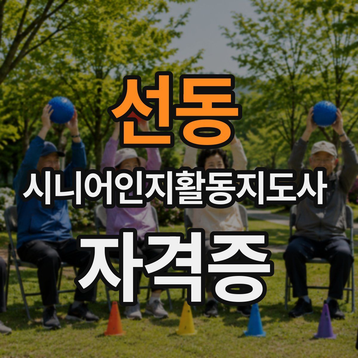 선동 시니어인지활동지도사 자격증