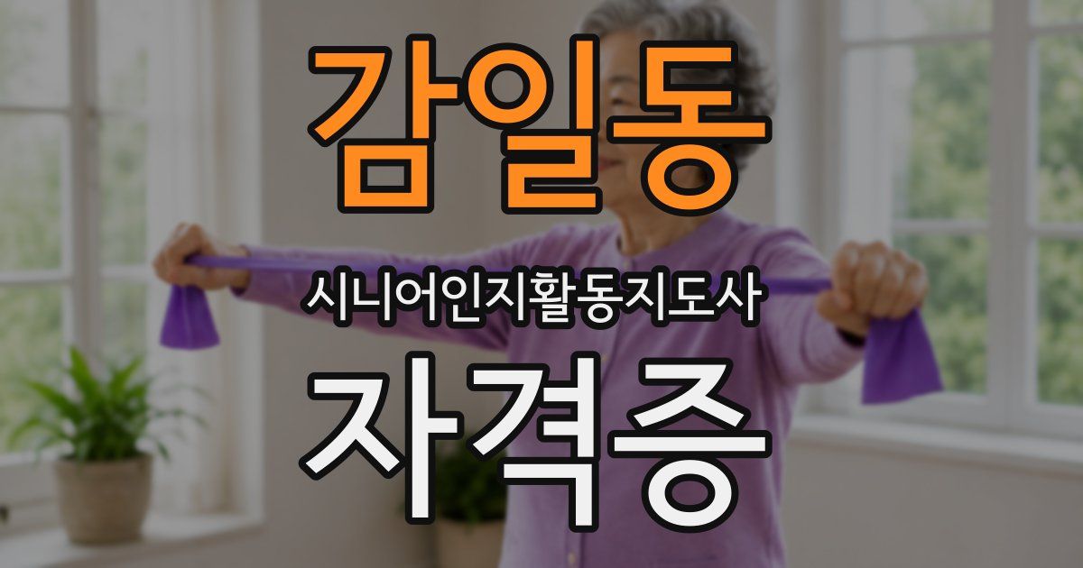 감일동 시니어인지활동지도사 자격증