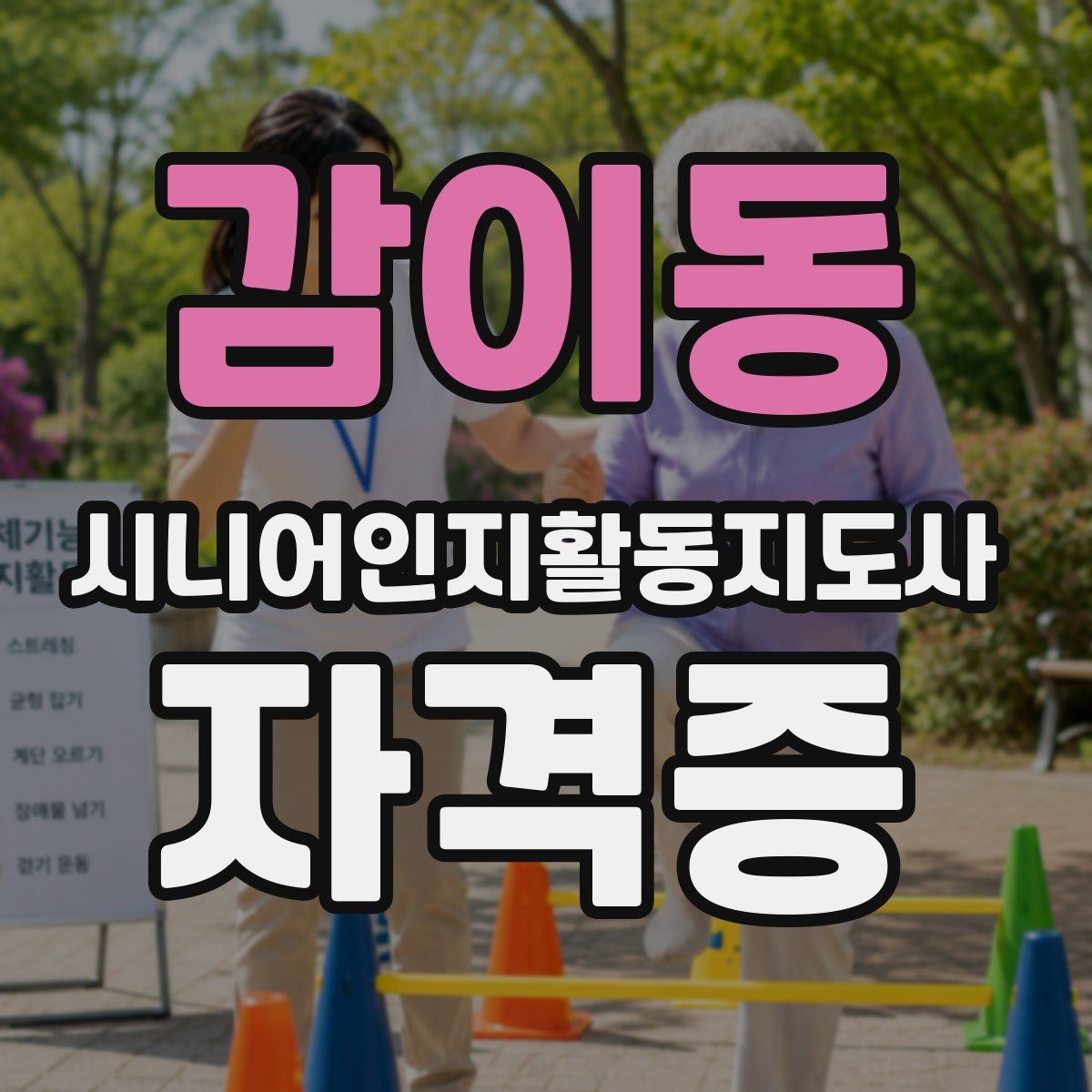 감이동 시니어인지활동지도사 자격증