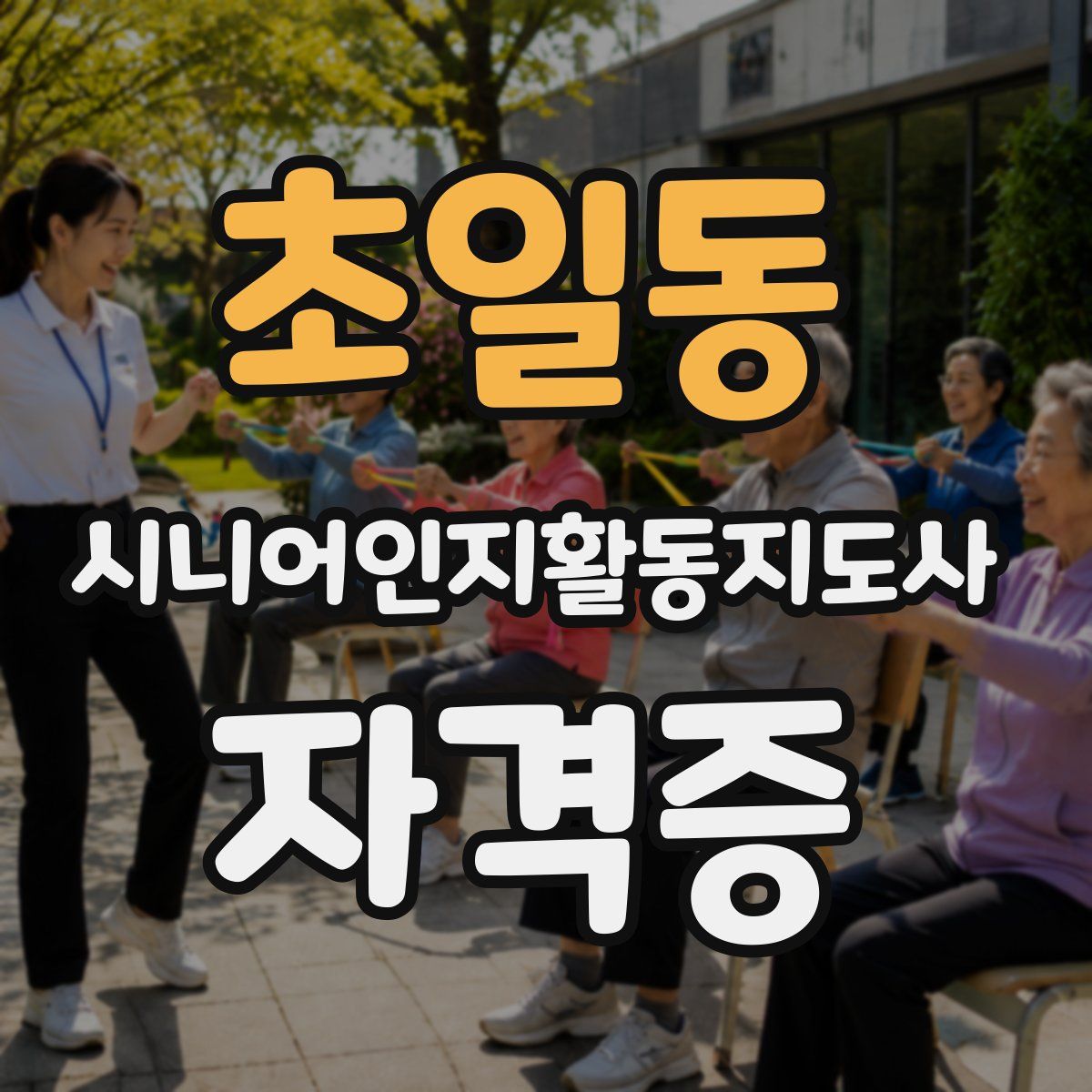 초일동 시니어인지활동지도사 자격증