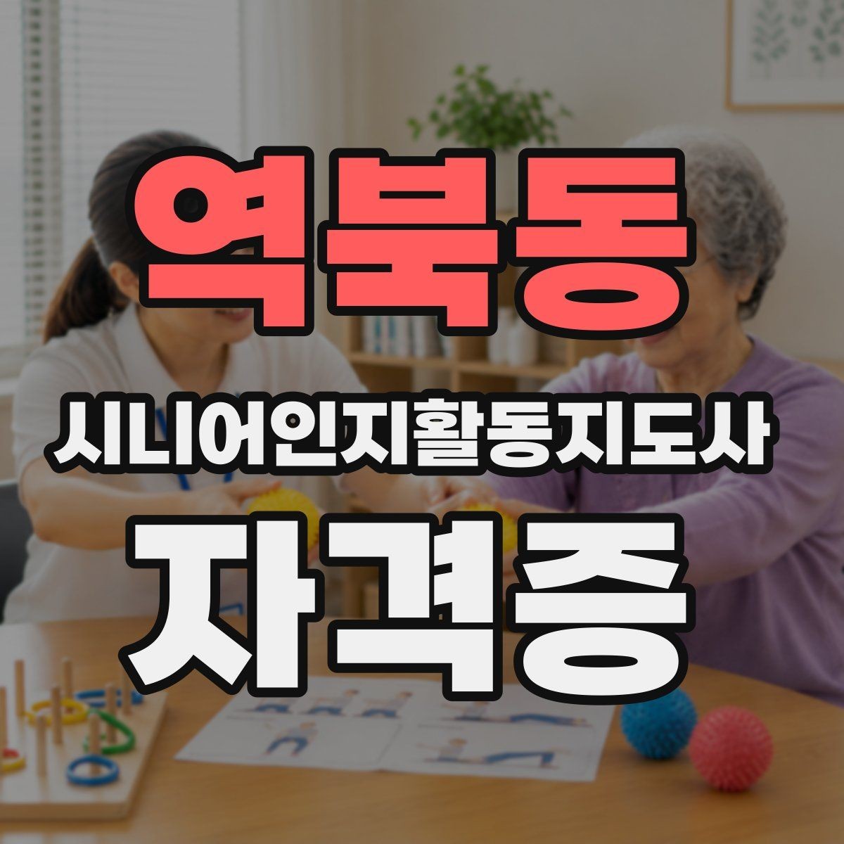 역북동 시니어인지활동지도사 자격증 학습 효율 높이는 방법