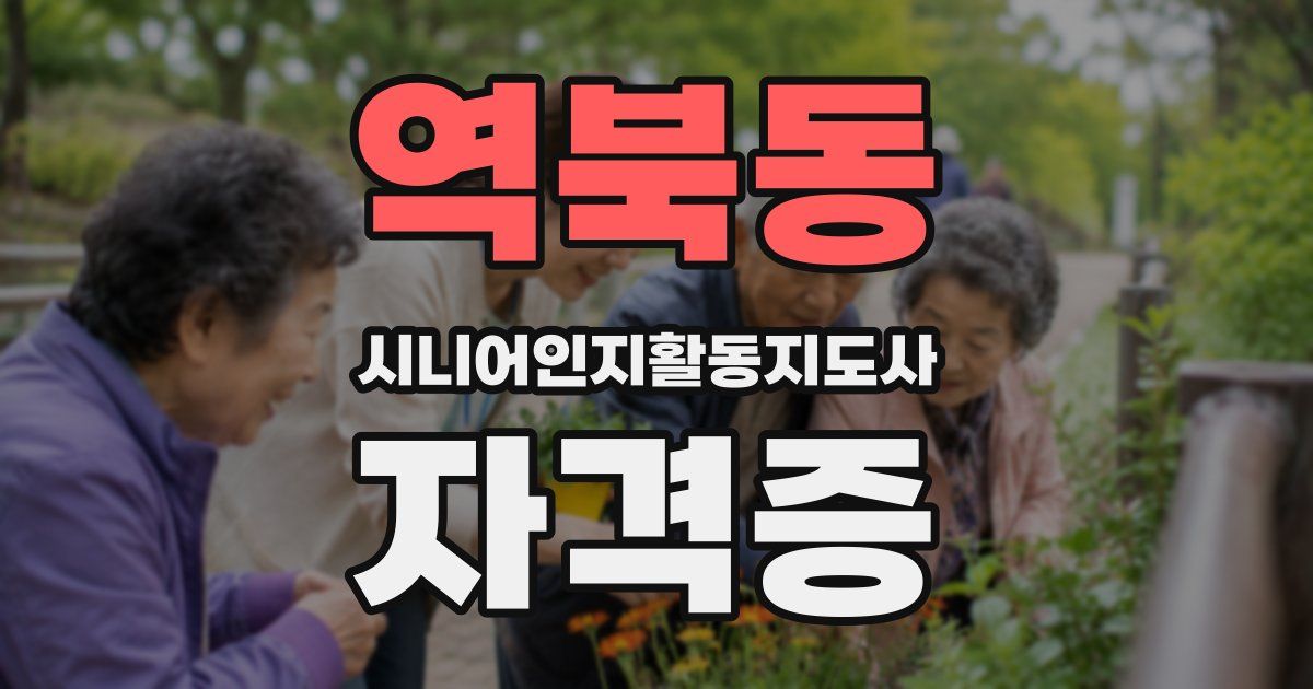 역북동 시니어인지활동지도사 자격증
