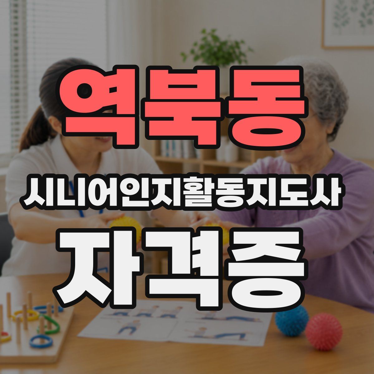 역북동 시니어인지활동지도사 자격증
