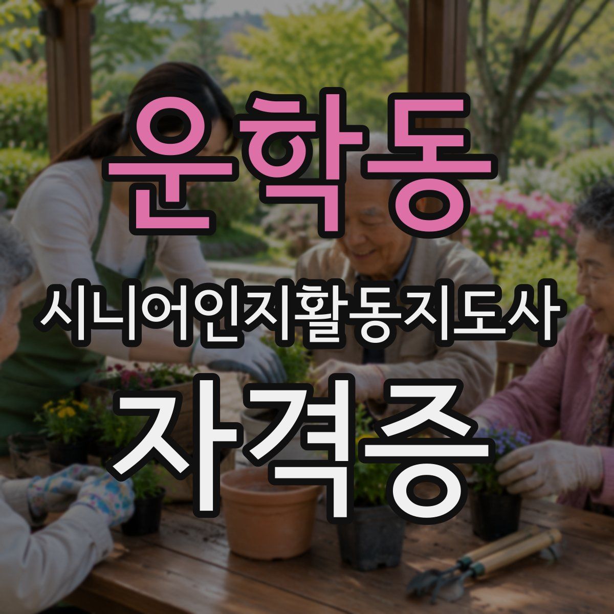 운학동 시니어인지활동지도사 자격증