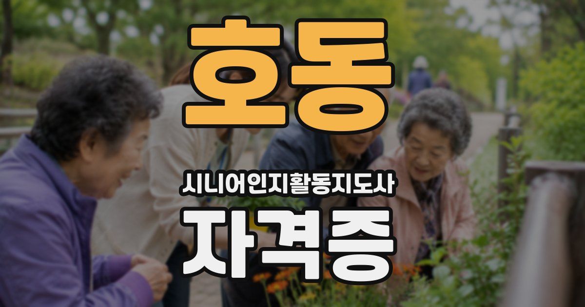 호동 시니어인지활동지도사 자격증