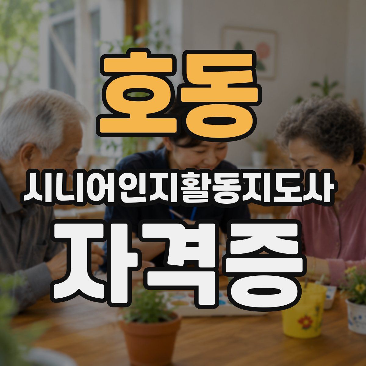 호동 시니어인지활동지도사 자격증