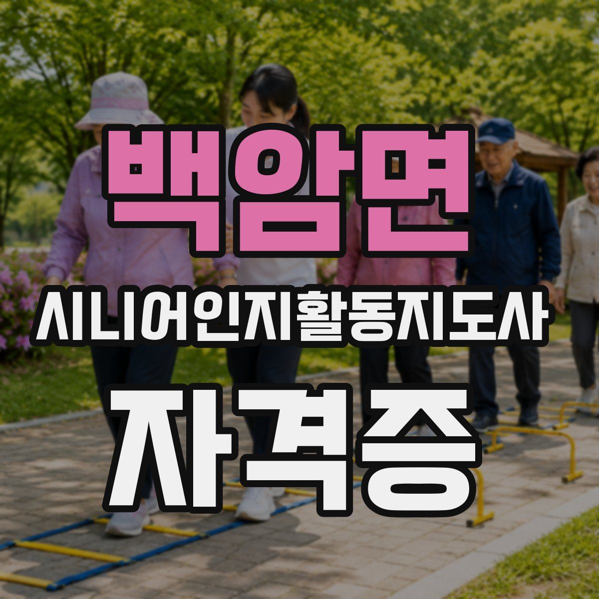 백암면 시니어인지활동지도사 자격증