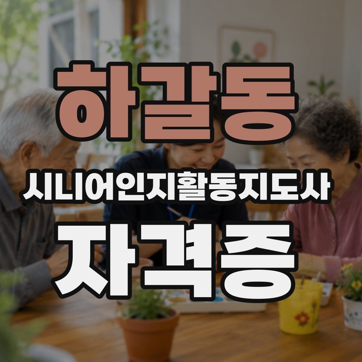 하갈동 시니어인지활동지도사 자격증 비용 구성과 수강 전 체크사항