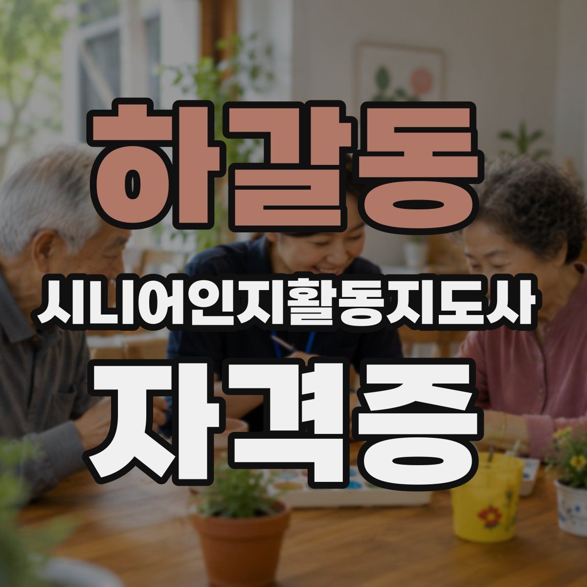 하갈동 시니어인지활동지도사 자격증