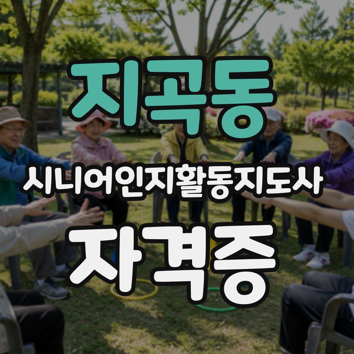 지곡동 시니어인지활동지도사 자격증