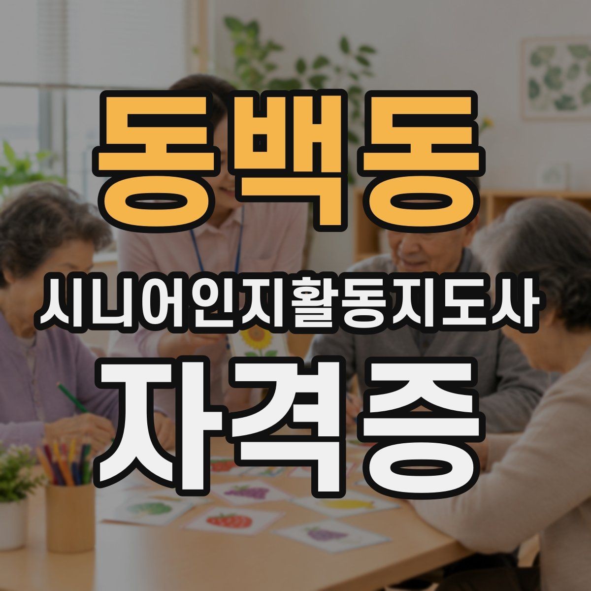 동백동 시니어인지활동지도사 자격증 과정의 장점과 한계