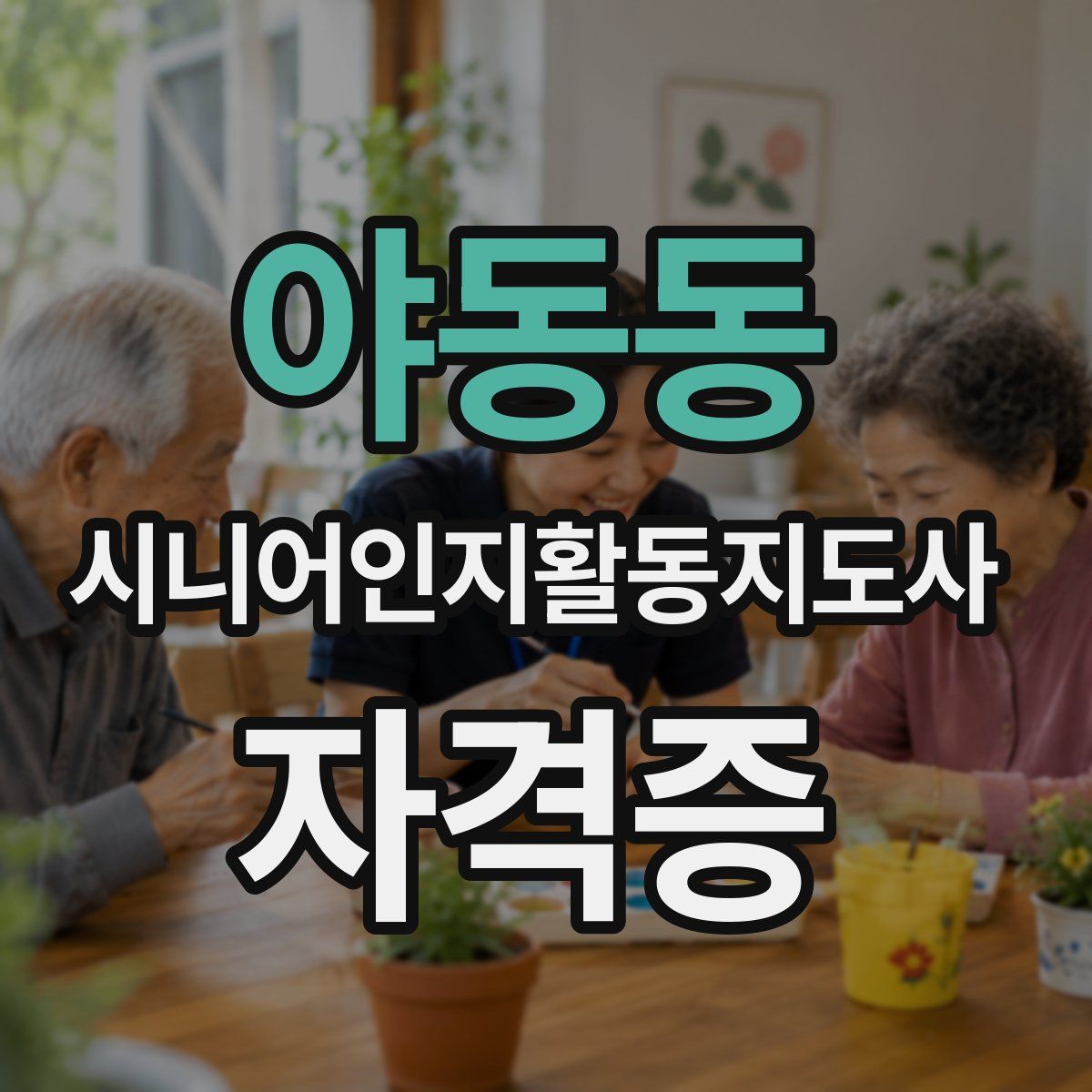 야동동 시니어인지활동지도사 자격증