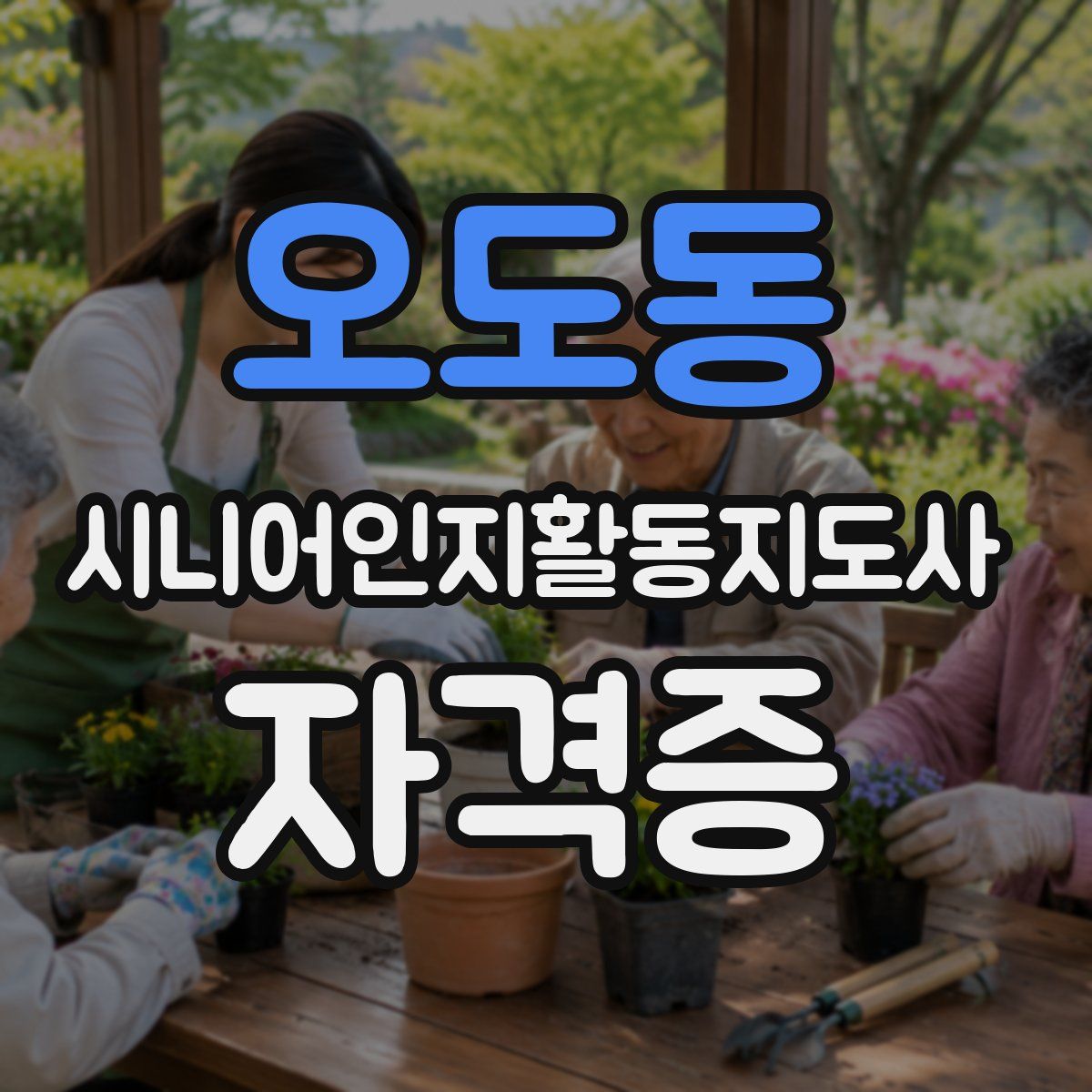 오도동 시니어인지활동지도사 자격증