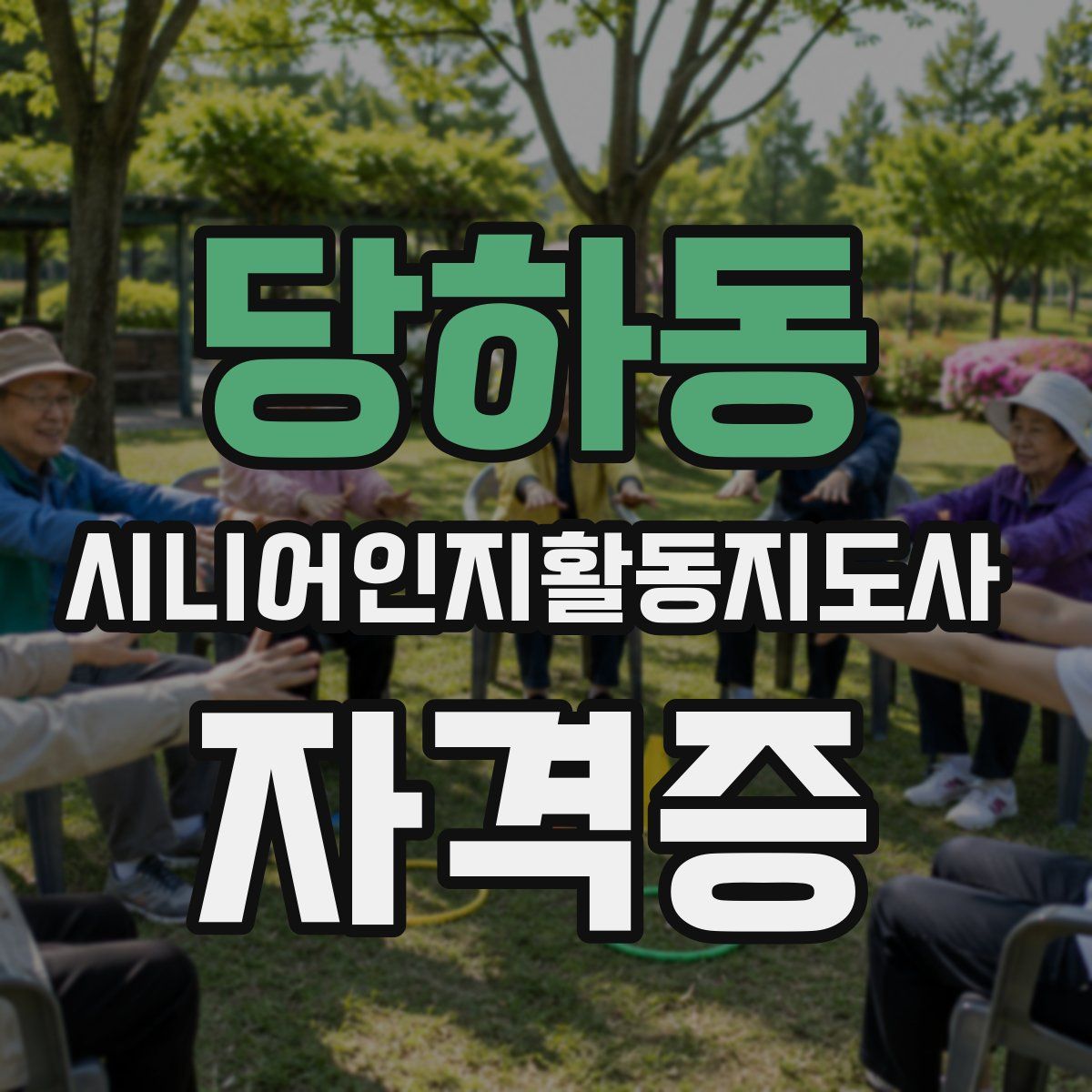 당하동 시니어인지활동지도사 자격증