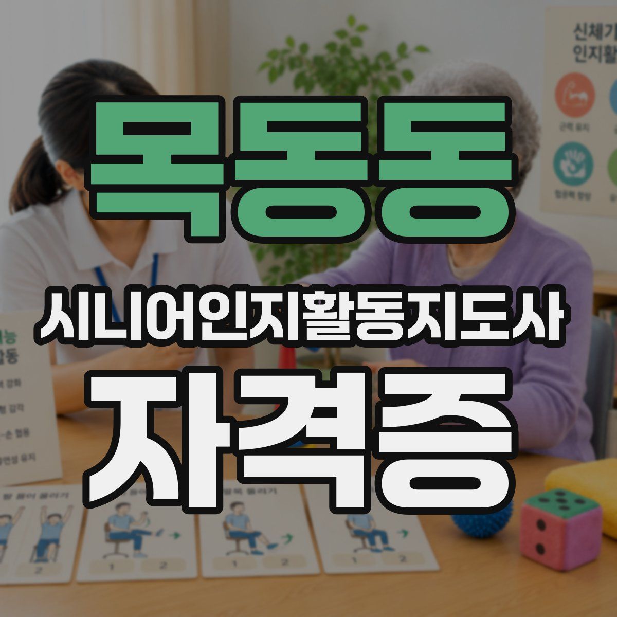 목동동 시니어인지활동지도사 자격증