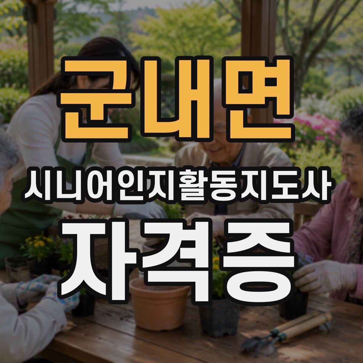 군내면 시니어인지활동지도사 자격증