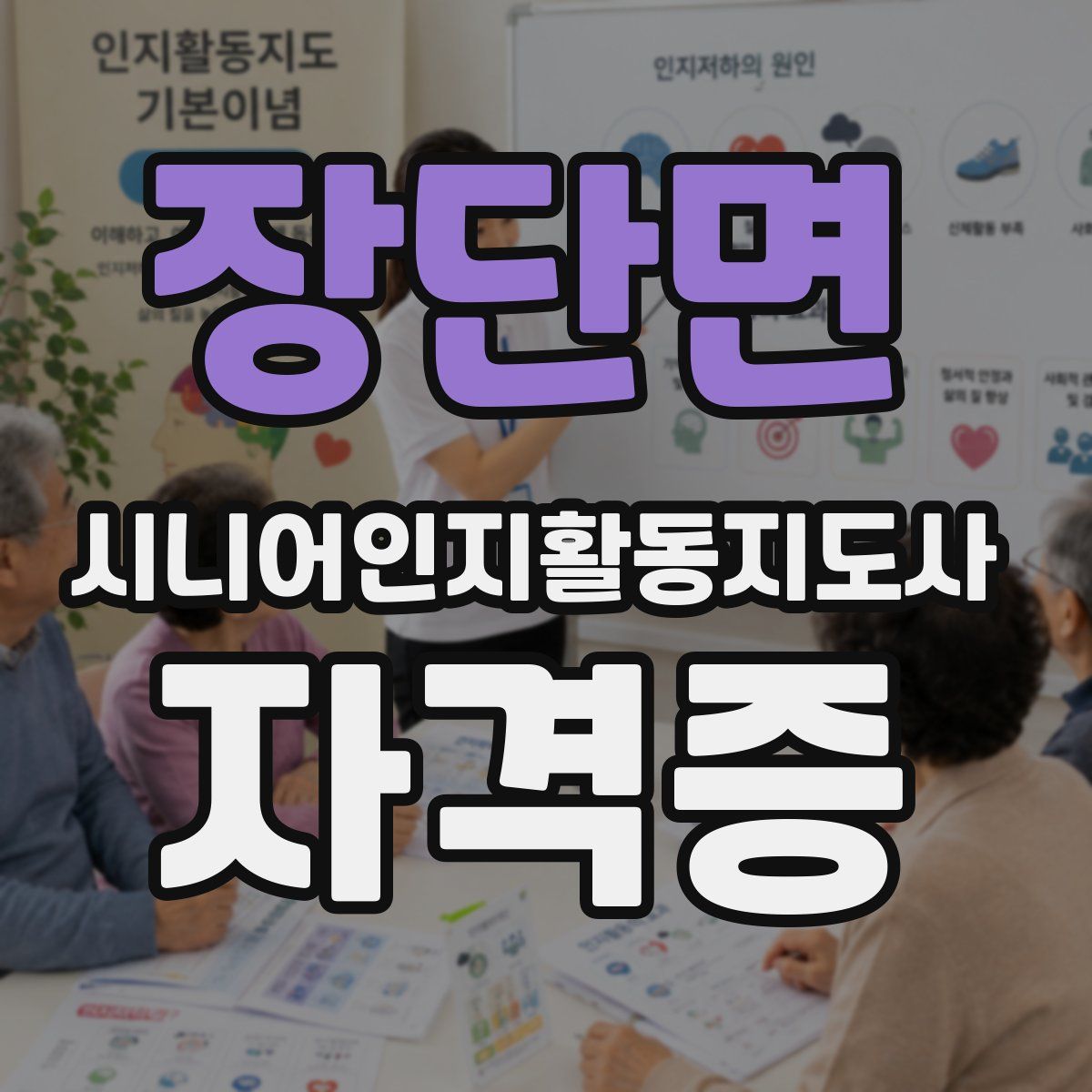 장단면 시니어인지활동지도사 자격증