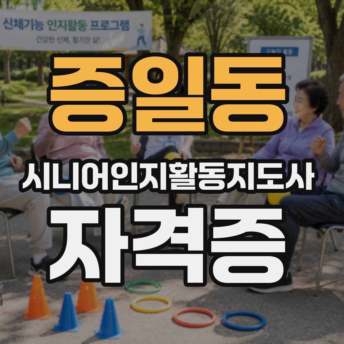 증일동 시니어인지활동지도사 자격증